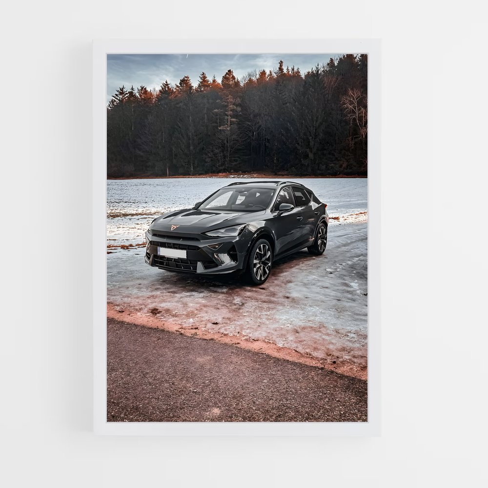 Poster Formentor de Évasion – affiche Cupra (vue 3)